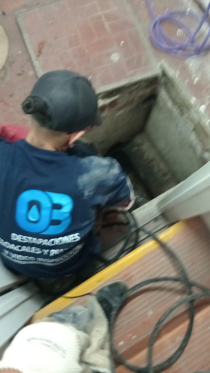 Trabajo Cloacal 3